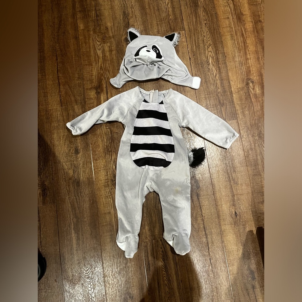 baby raccoon costume